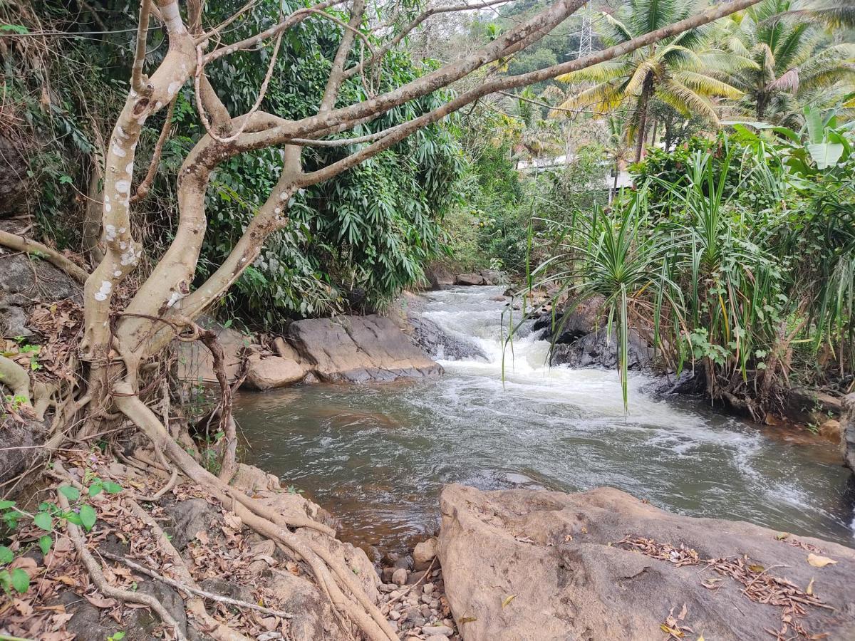 Riverbench Homestay Munnar Anaviratty Exterior foto