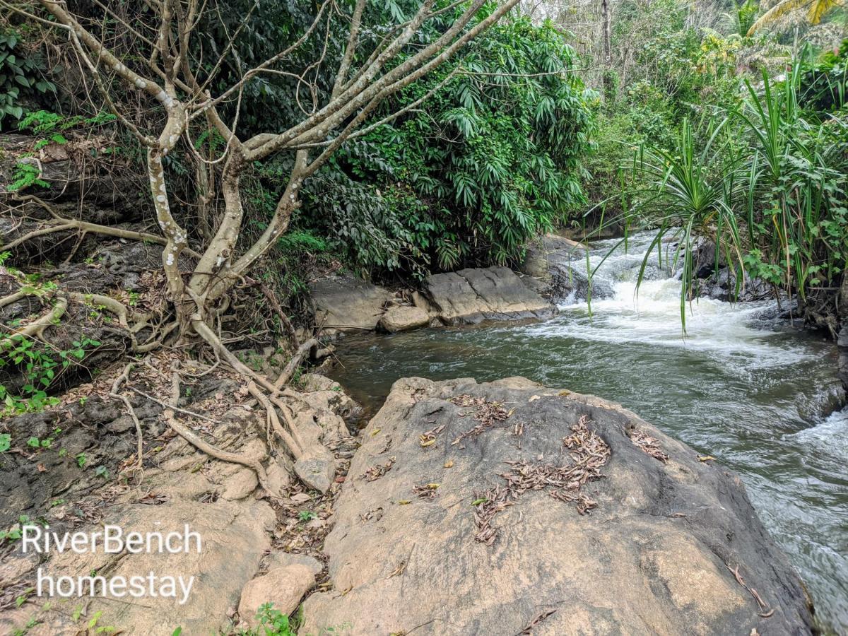 Riverbench Homestay Munnar Anaviratty Exterior foto