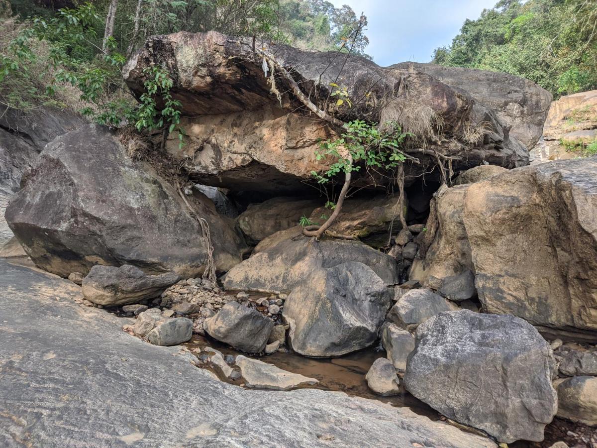 Riverbench Homestay Munnar Anaviratty Exterior foto