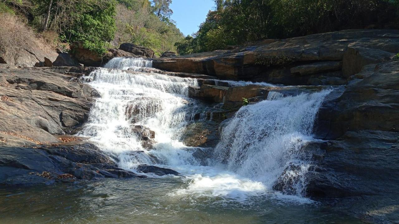 Riverbench Homestay Munnar Anaviratty Exterior foto