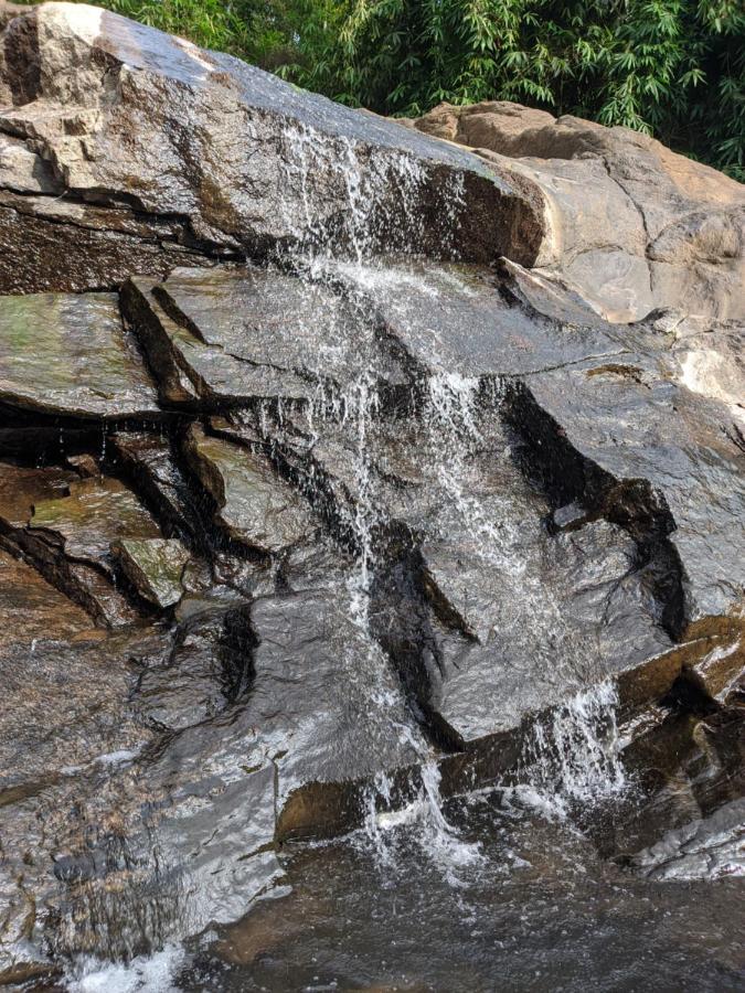 Riverbench Homestay Munnar Anaviratty Exterior foto
