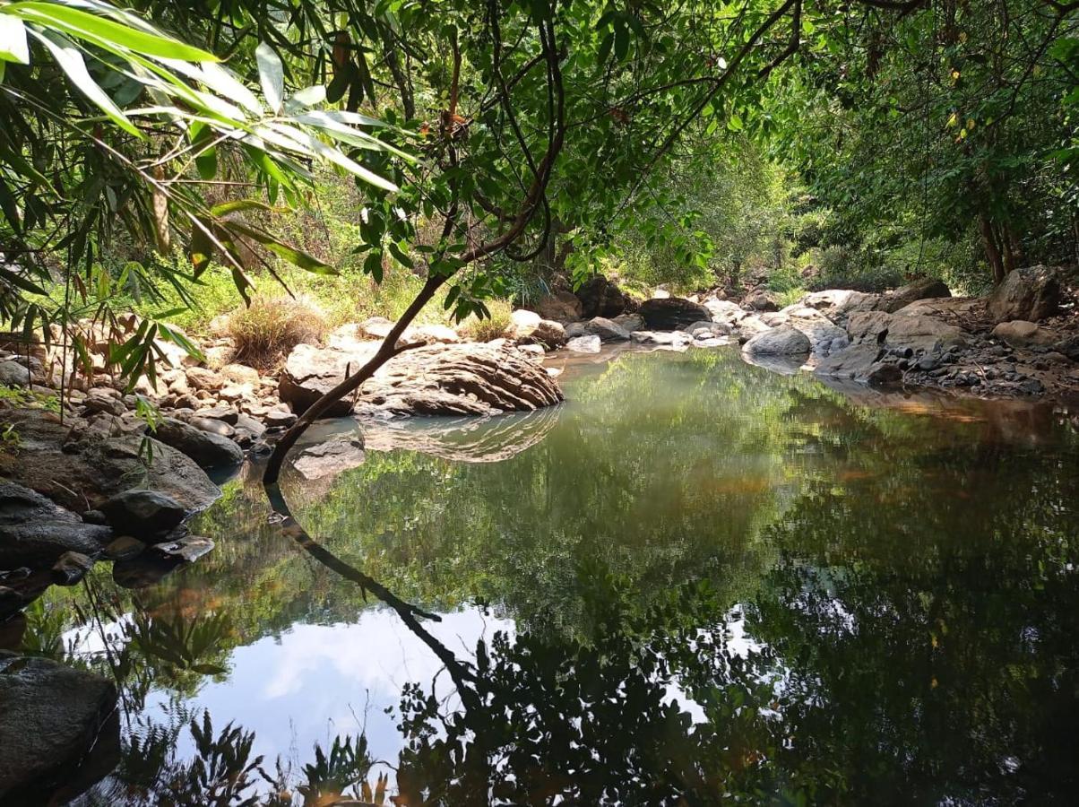 Riverbench Homestay Munnar Anaviratty Exterior foto